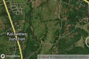 Ihala Nochchikulama Wewa