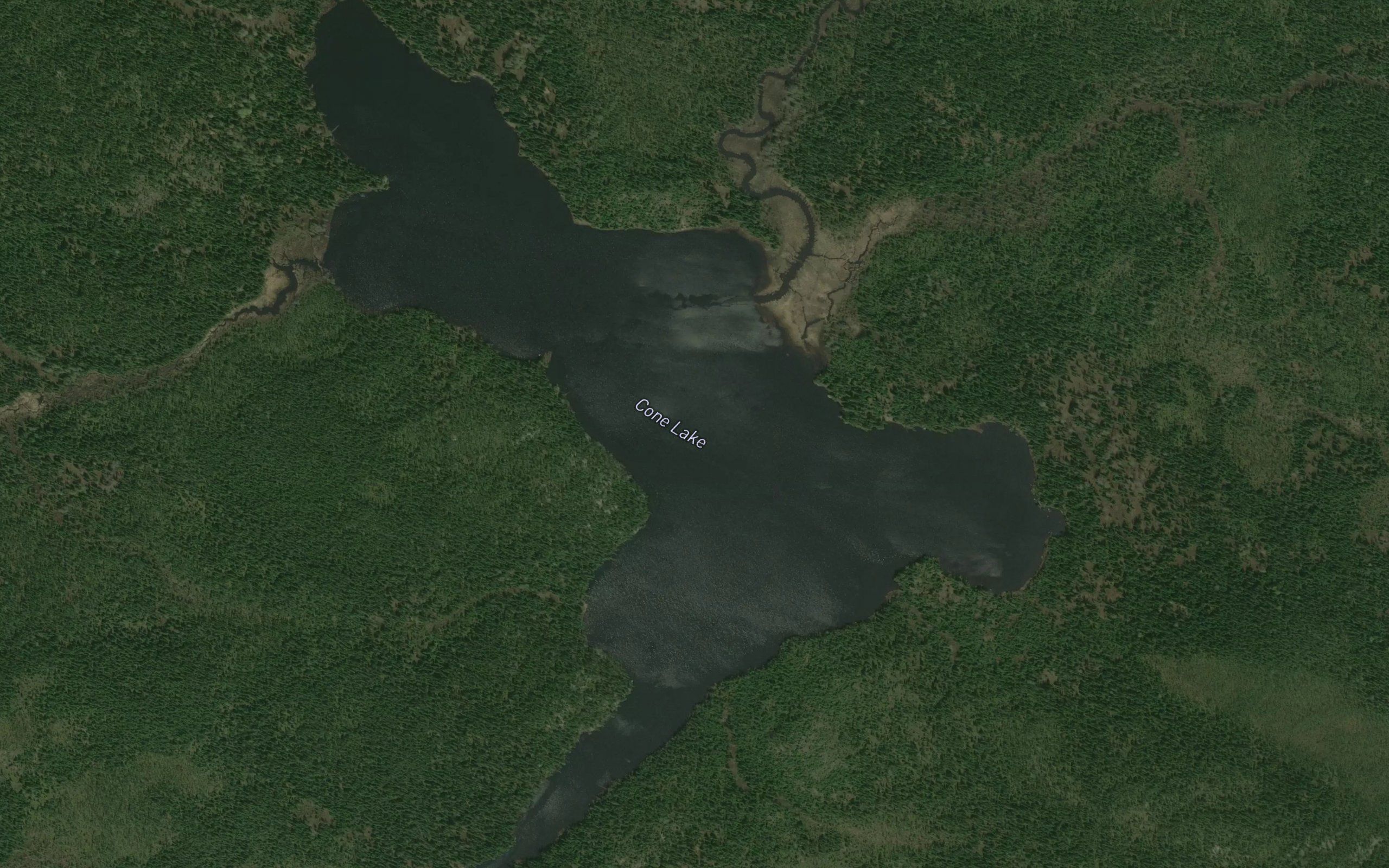 Cone Lake