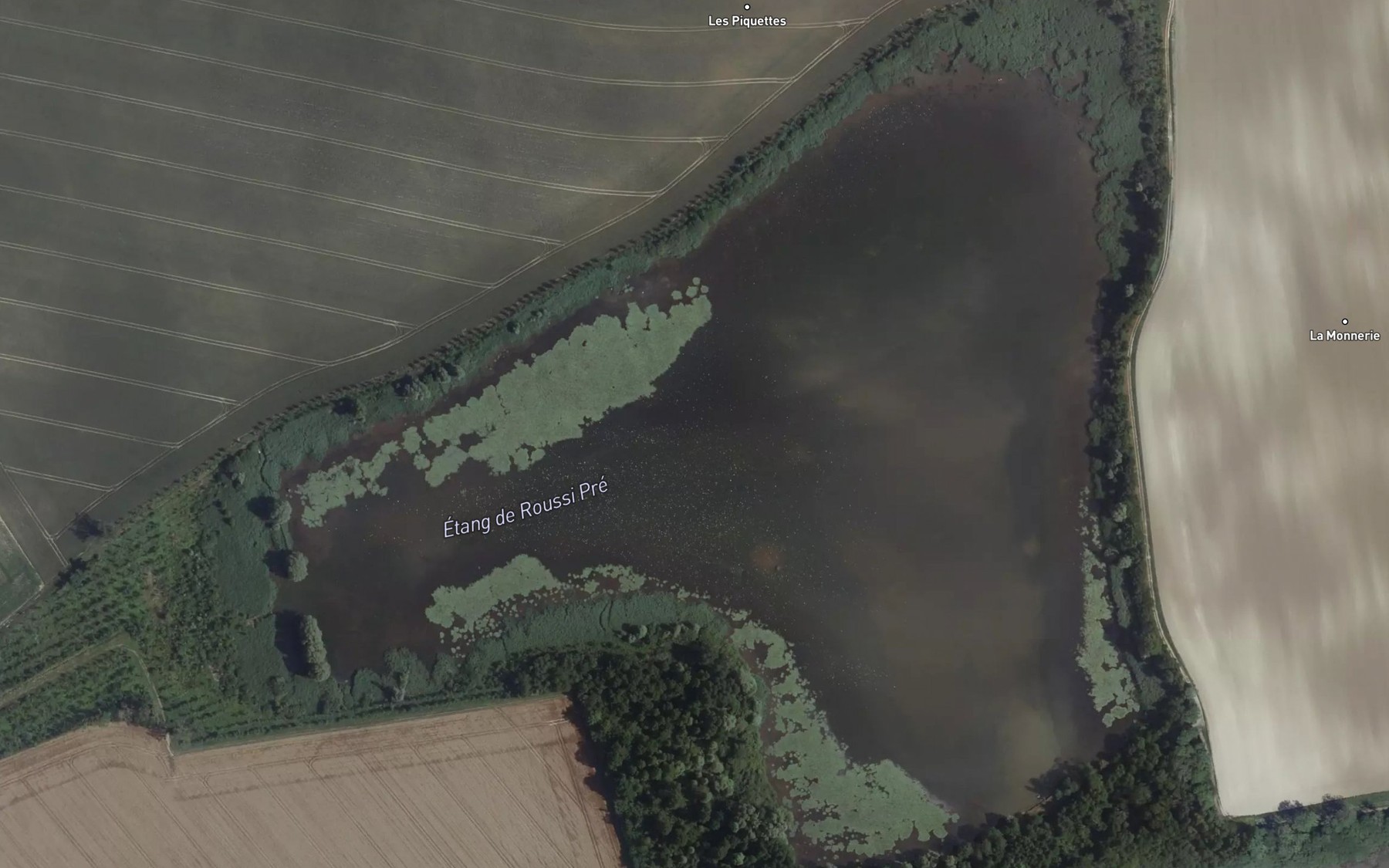 Satellite map of the Etang de Roussi Pre