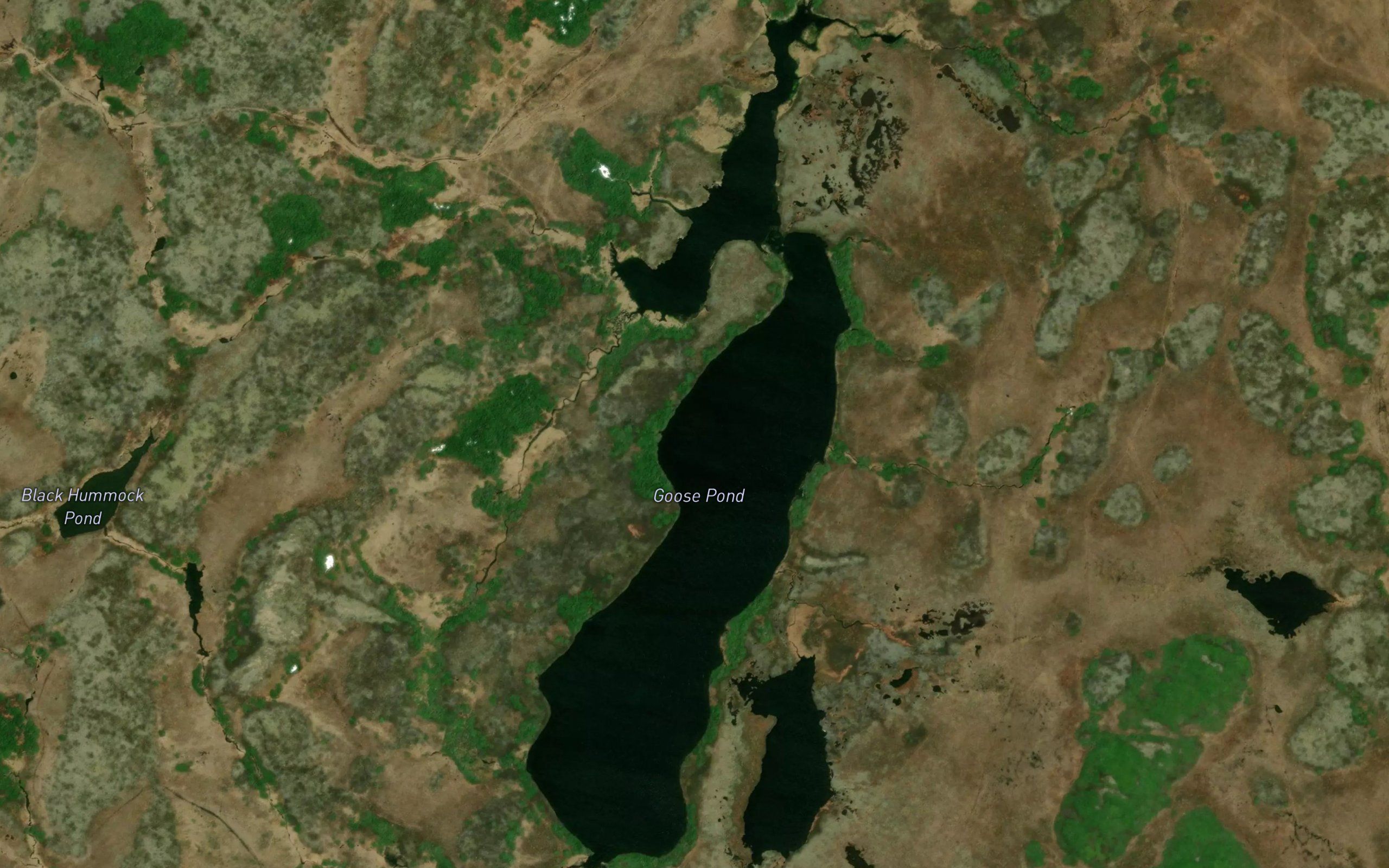 Goose Pond