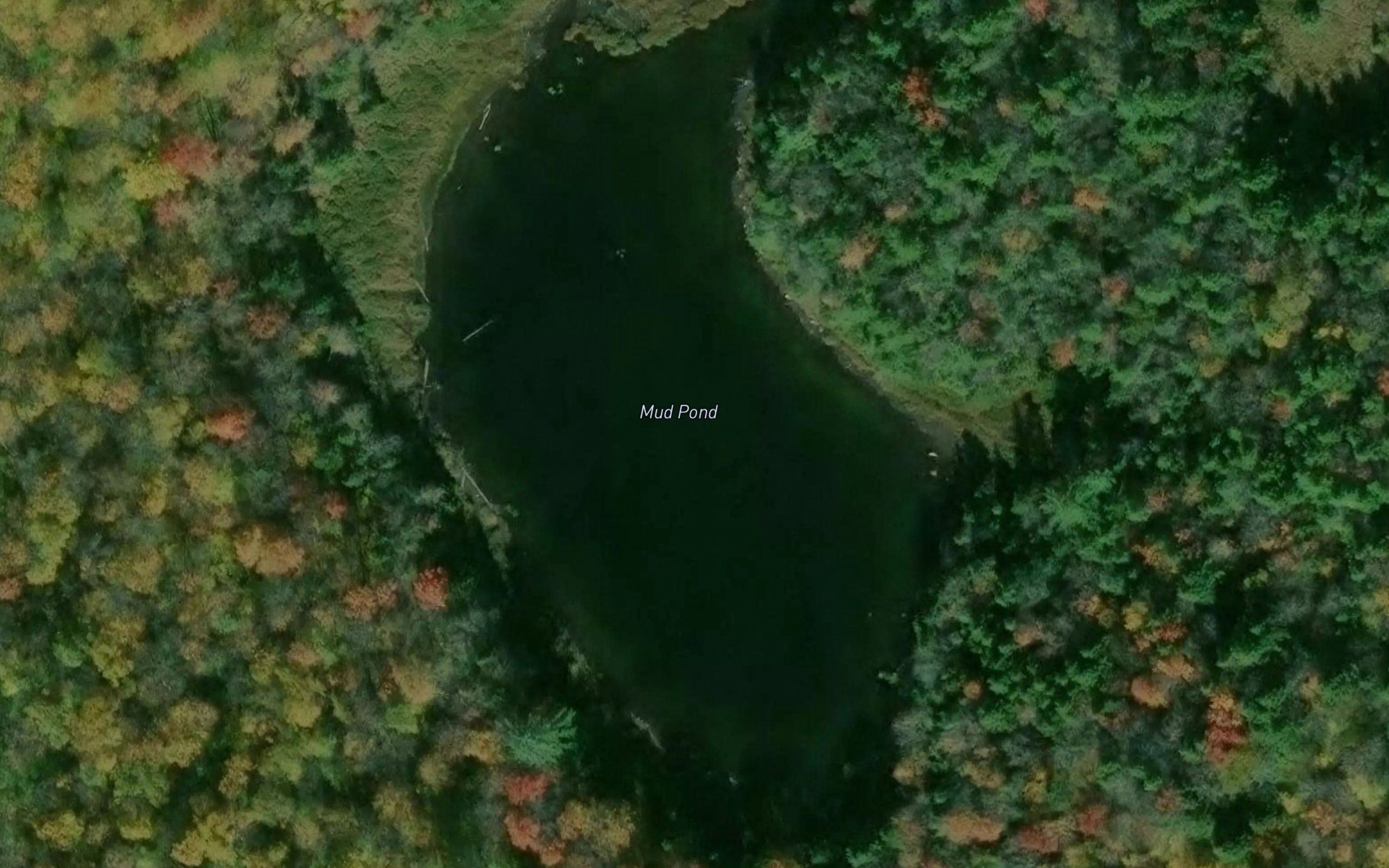 Mud Pond