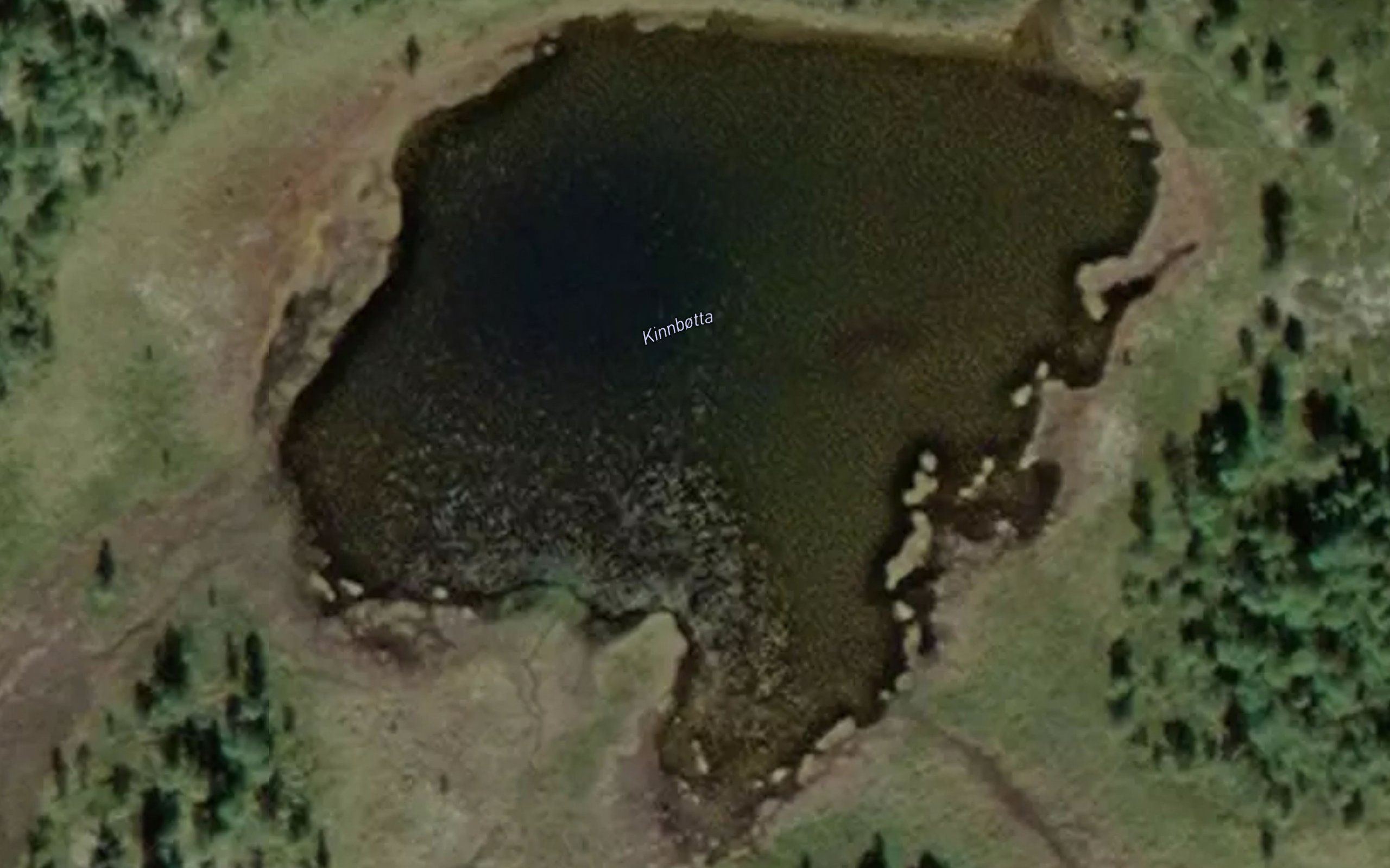 Kinnbotta