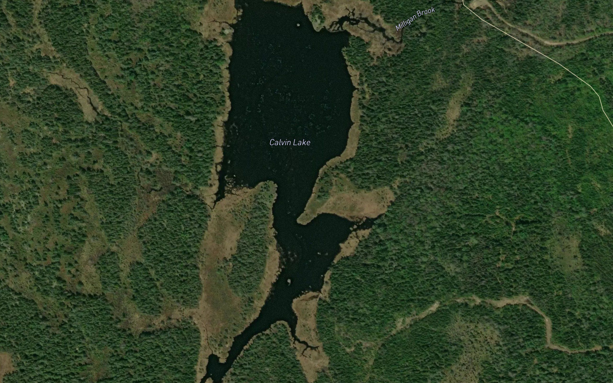 Calvin Lake