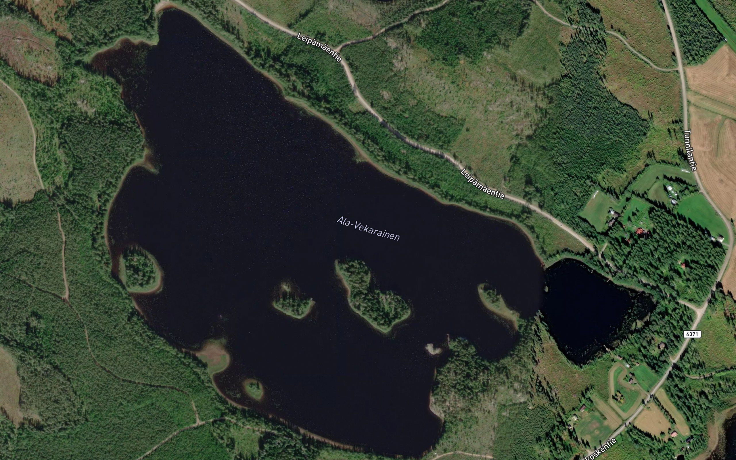 Ala-Vekarainen