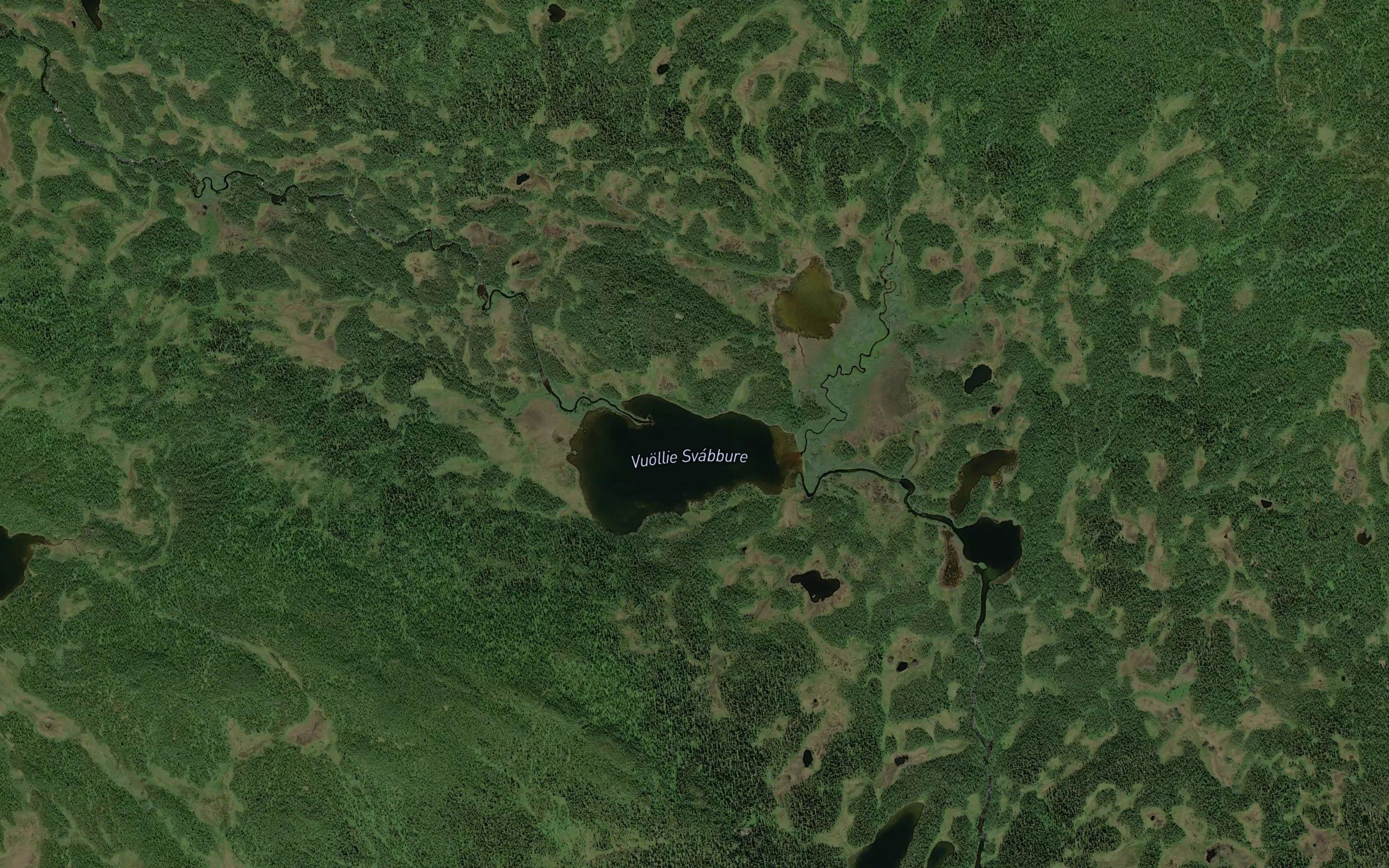 Svappaujaure
