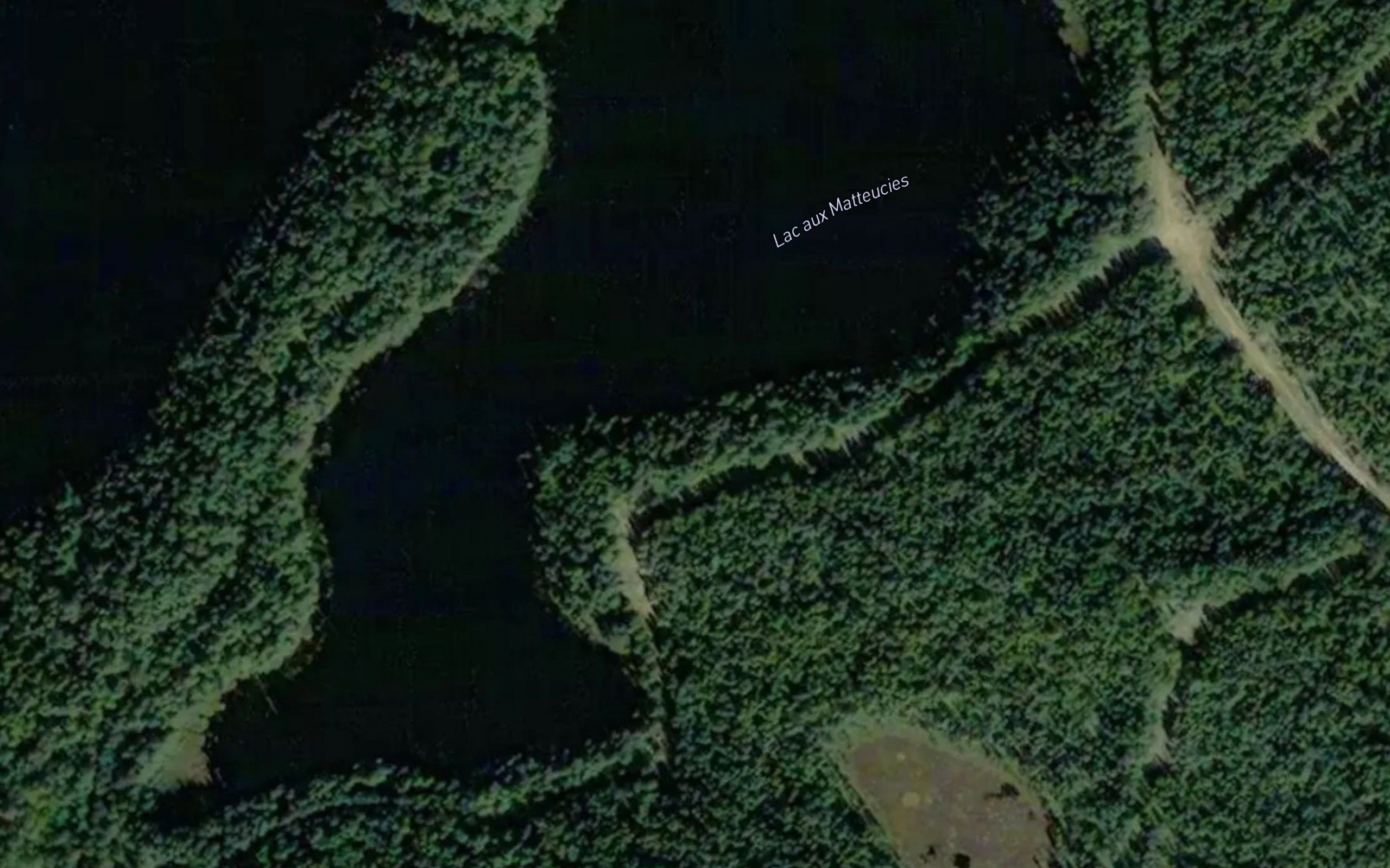 Lac aux Matteucies