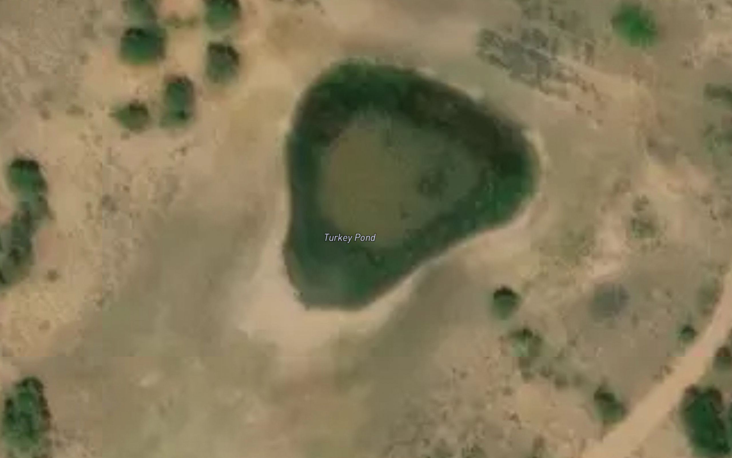 Turkey Pond