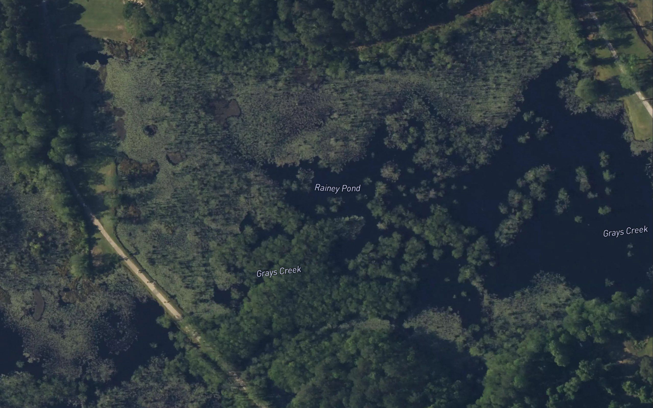 Rainey Pond