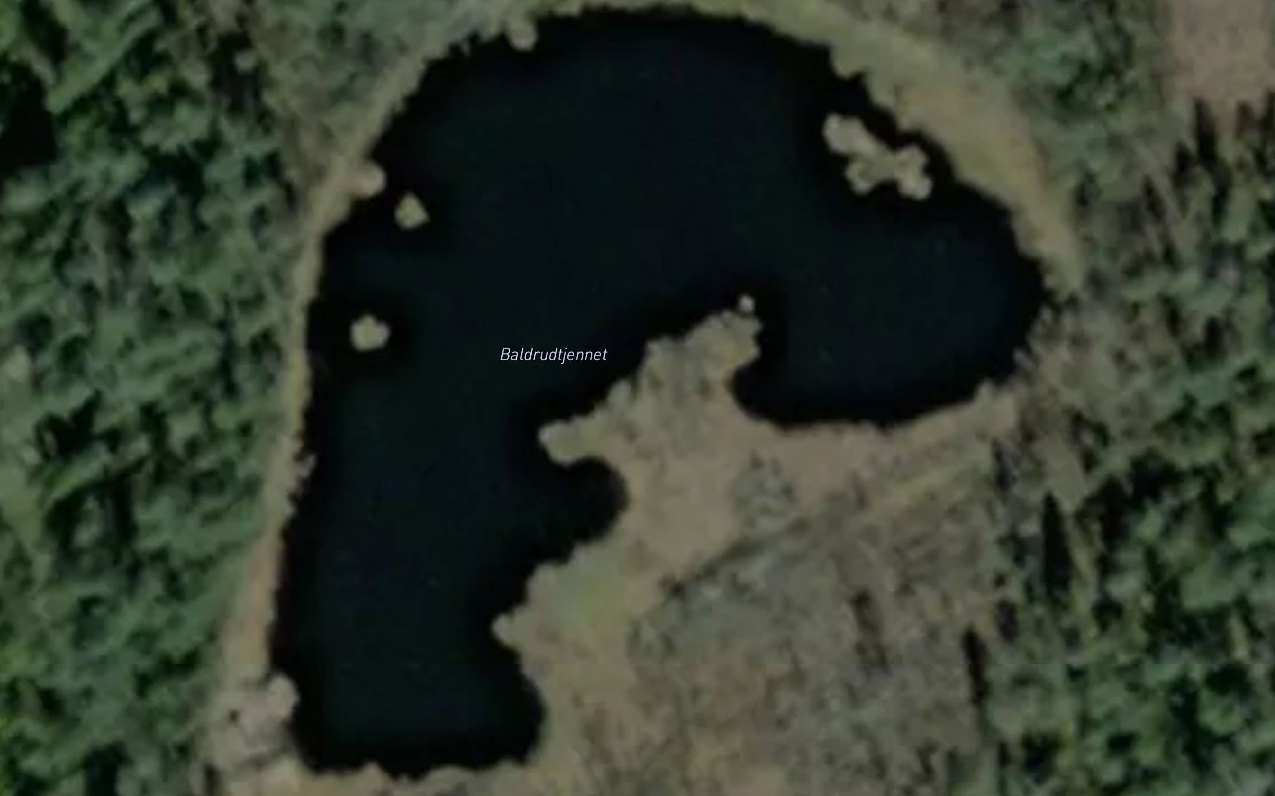 Baldrudtjennet