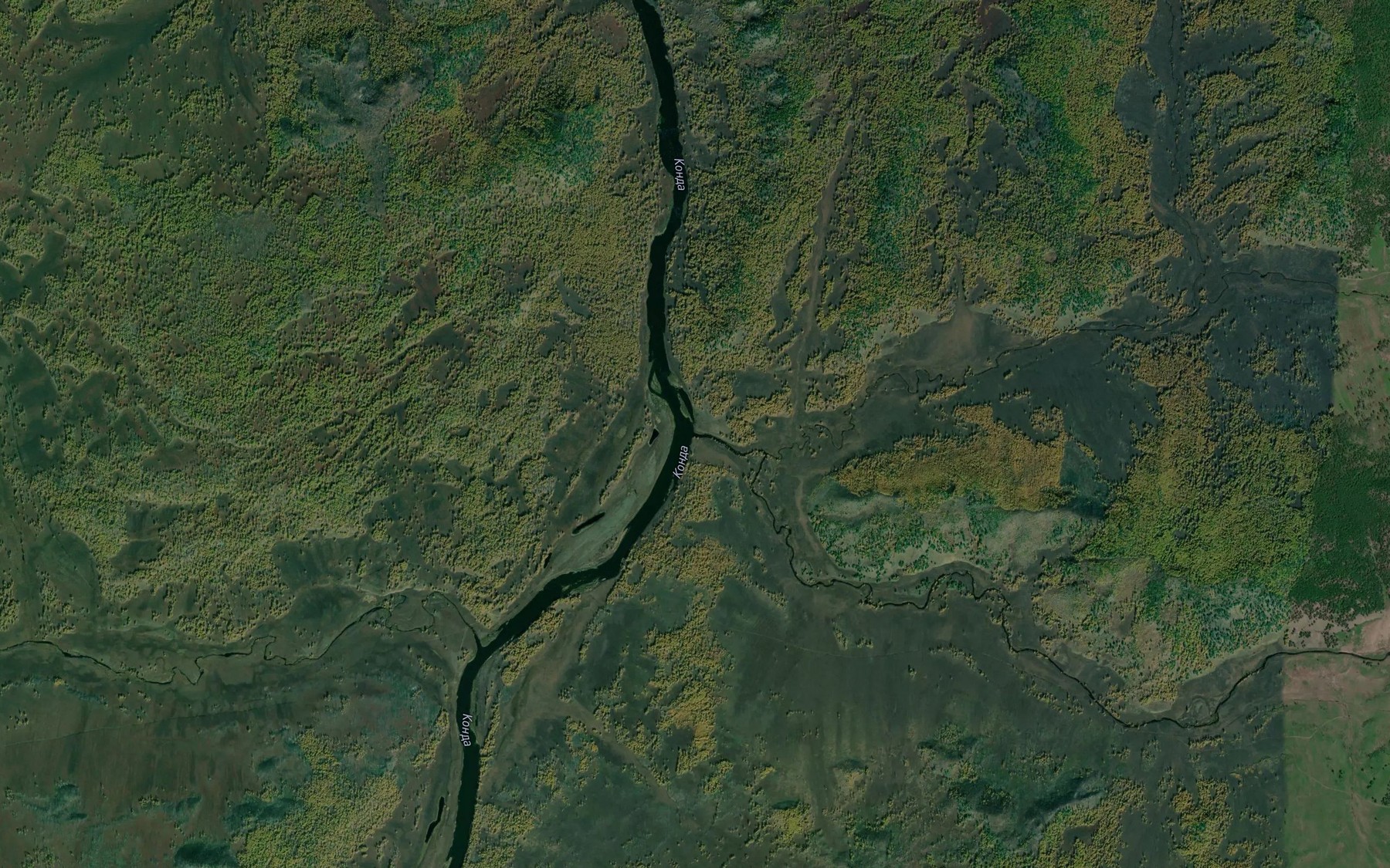 Satellite map of the Kulikon