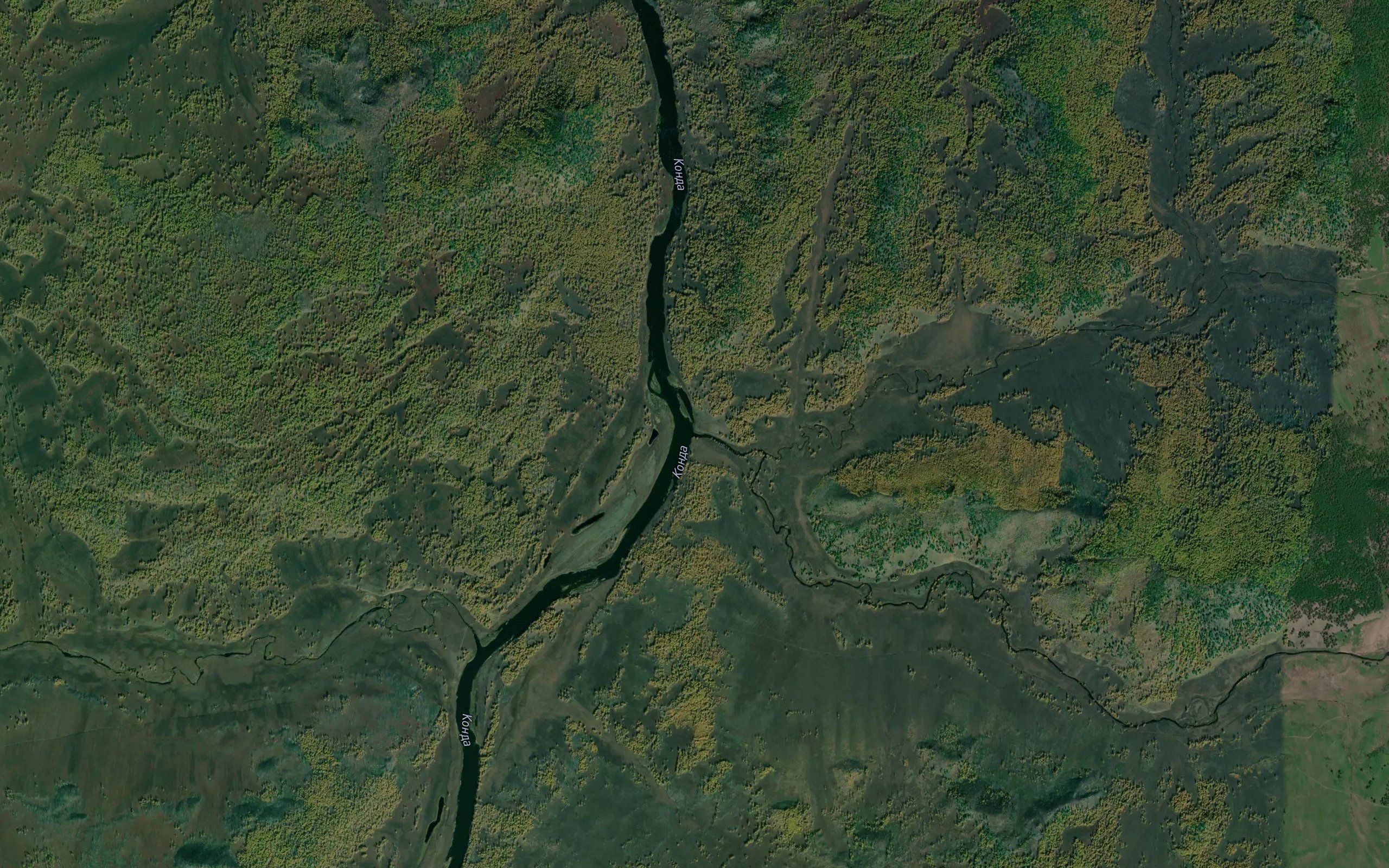 Kulikon
