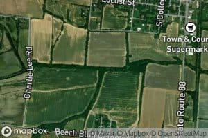 Beech Bluff