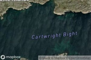 Cartridge Bight