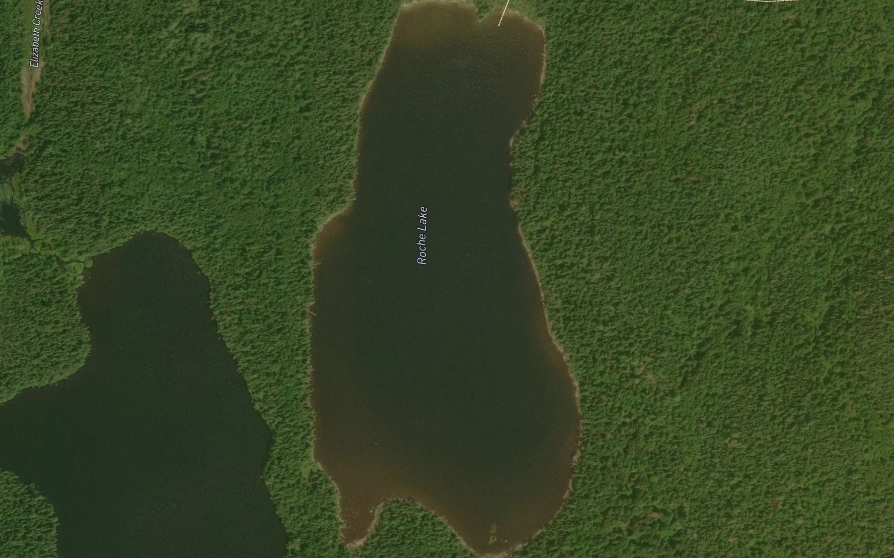 Satellite map of the Roche Lake