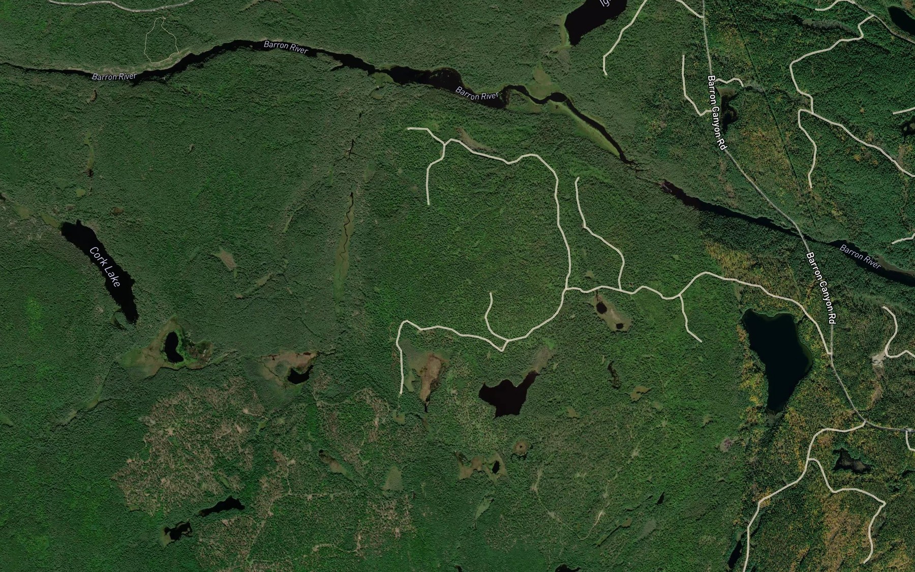 Satellite map of the Blanco Creek