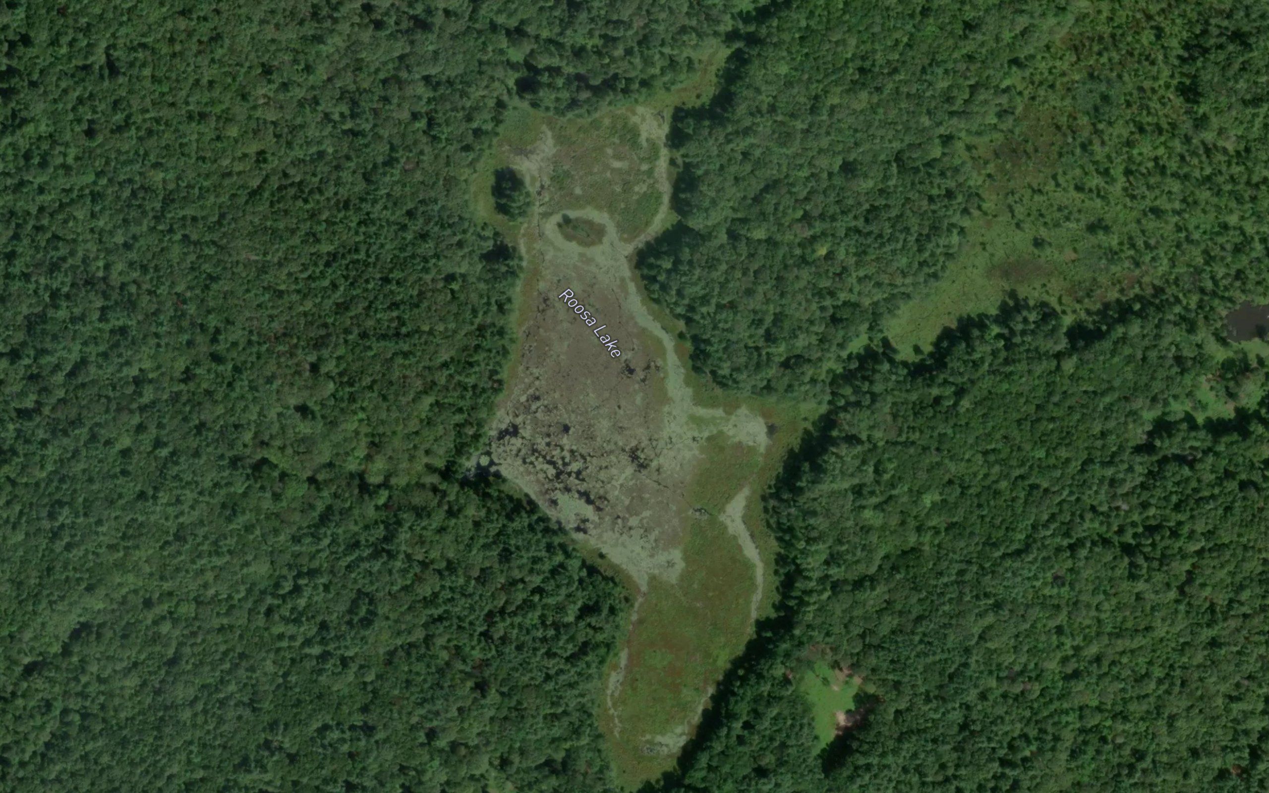 Roosa Lake