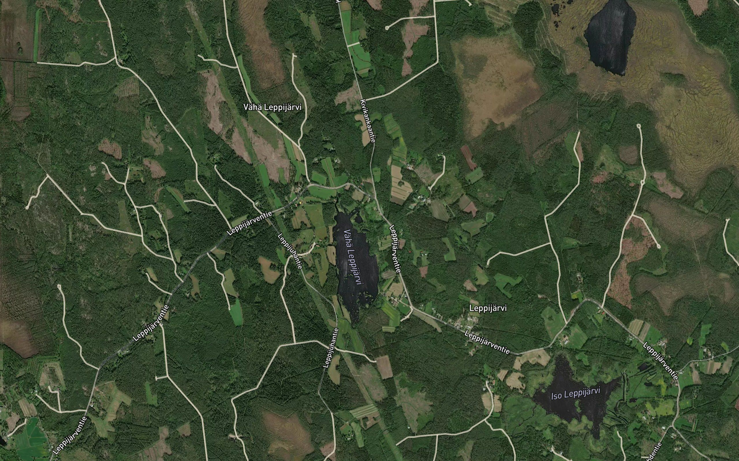 Tomminoja