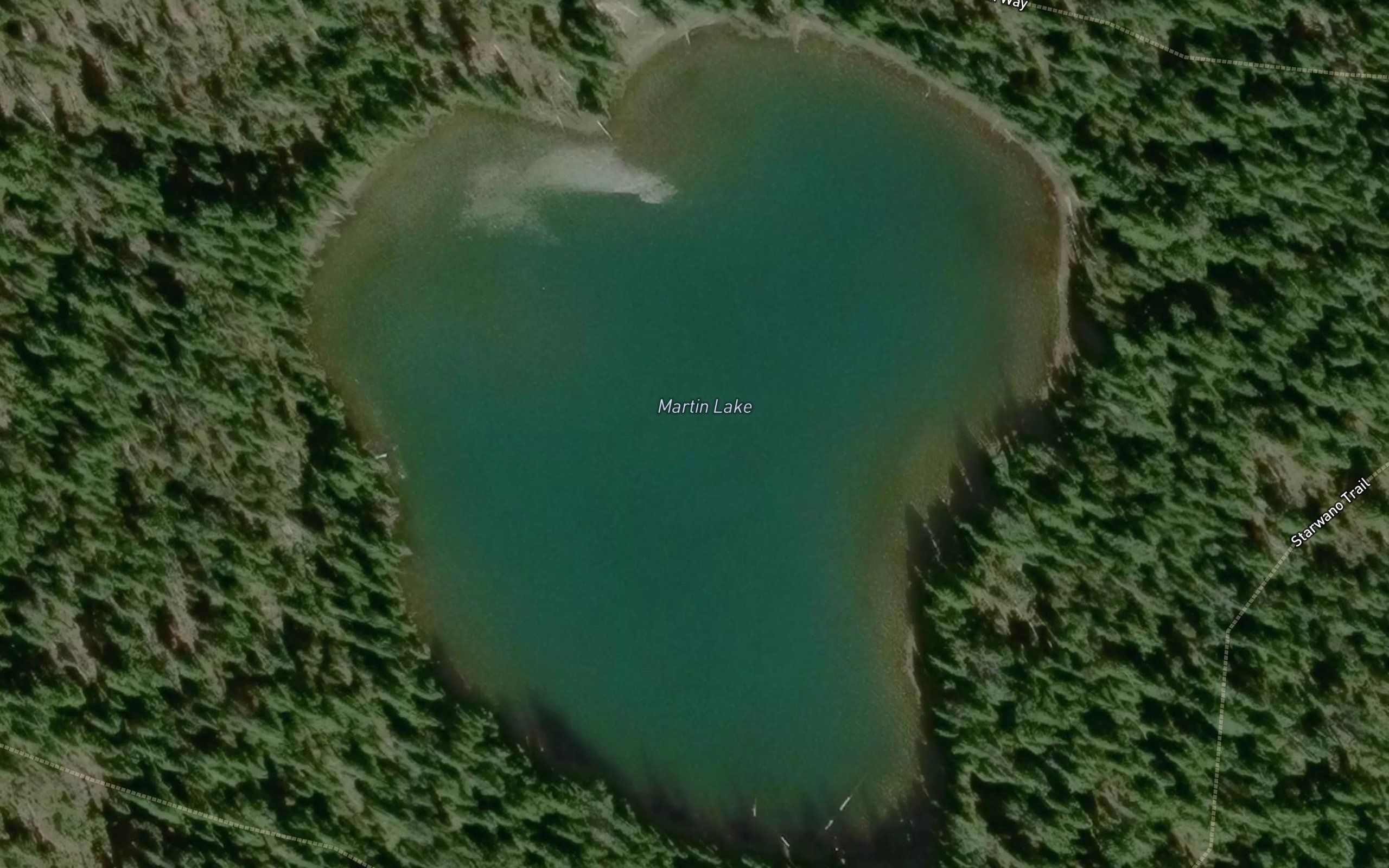 Martin Lake