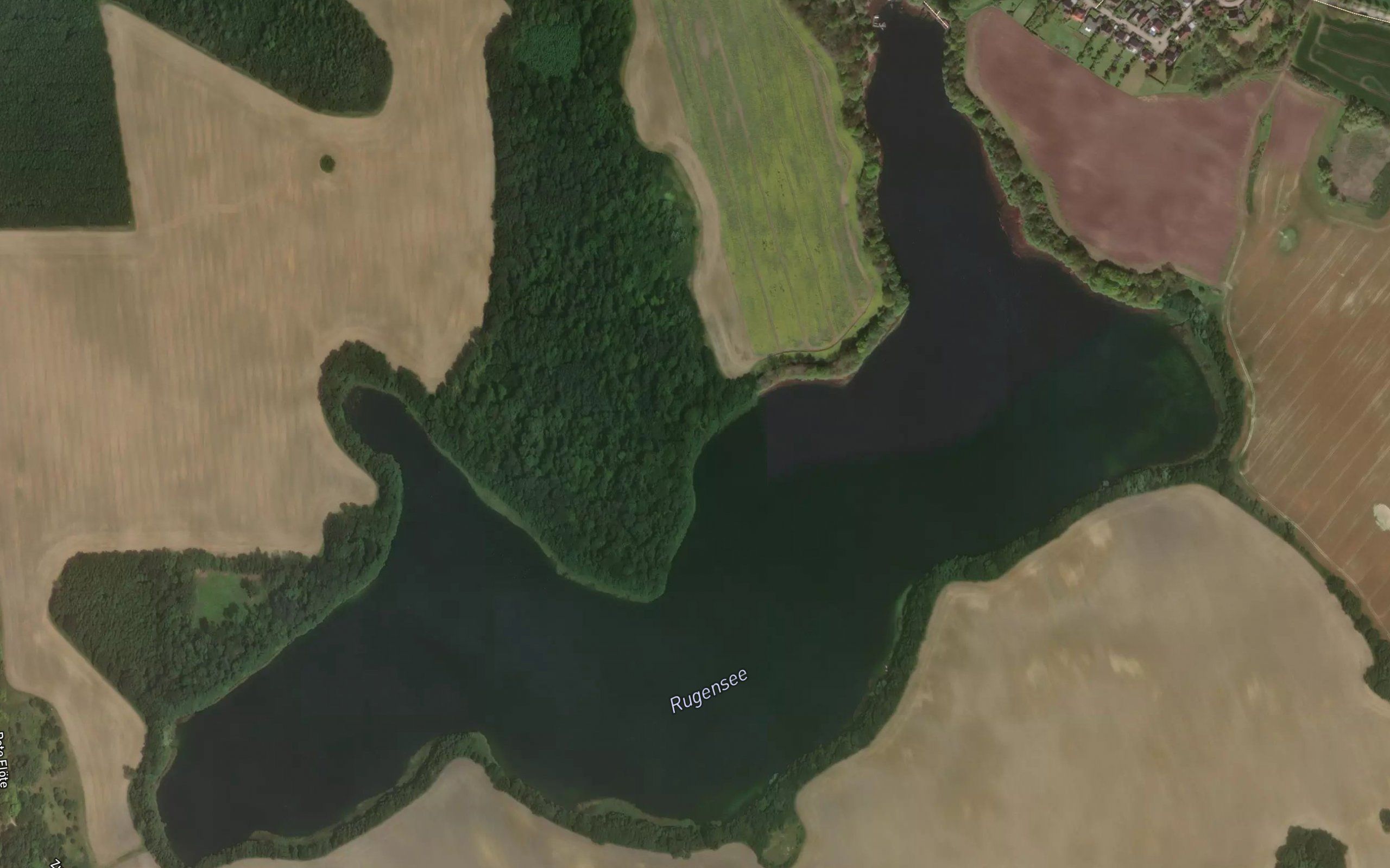 Rugensee