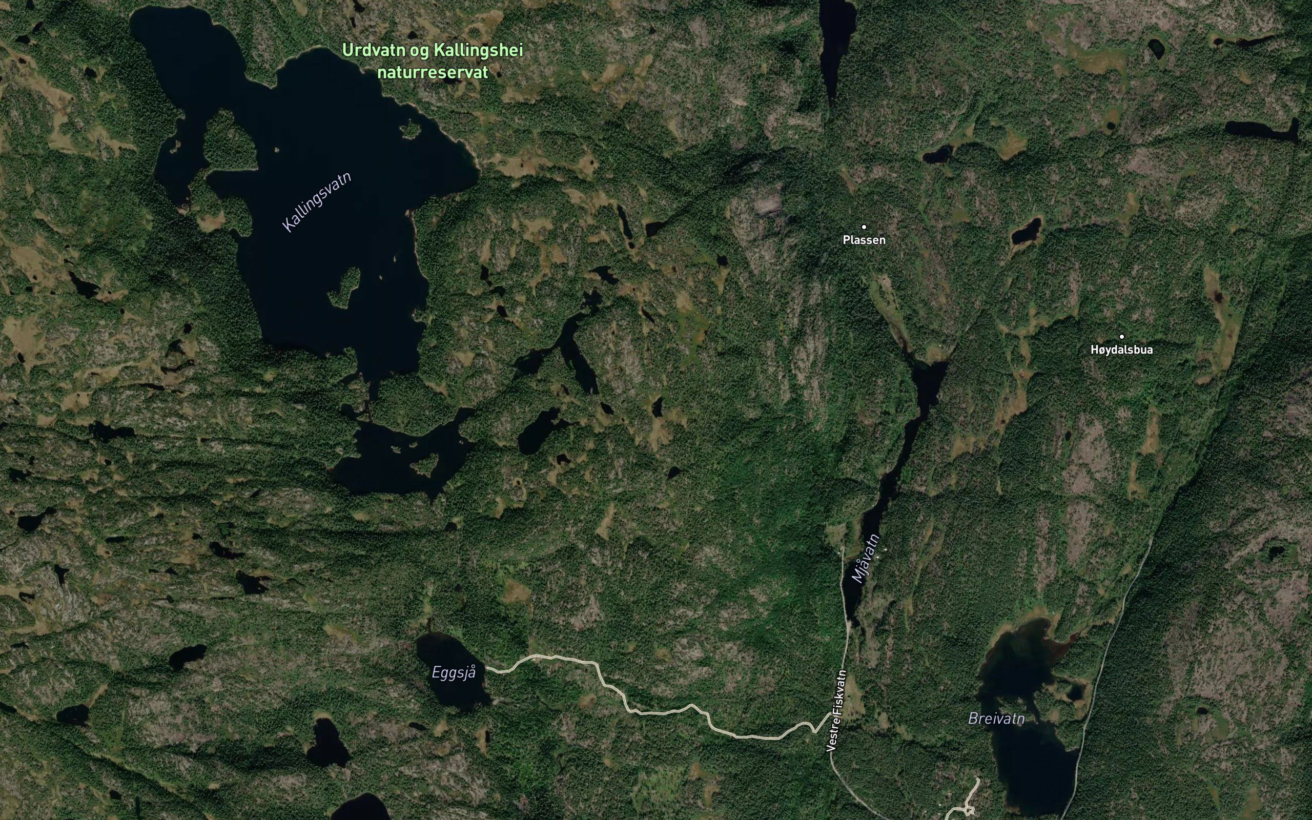Den utrunne tjonna