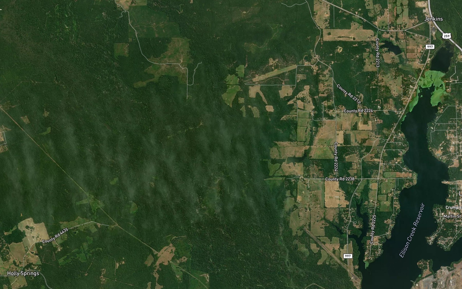 Satellite map of the Clear Lake