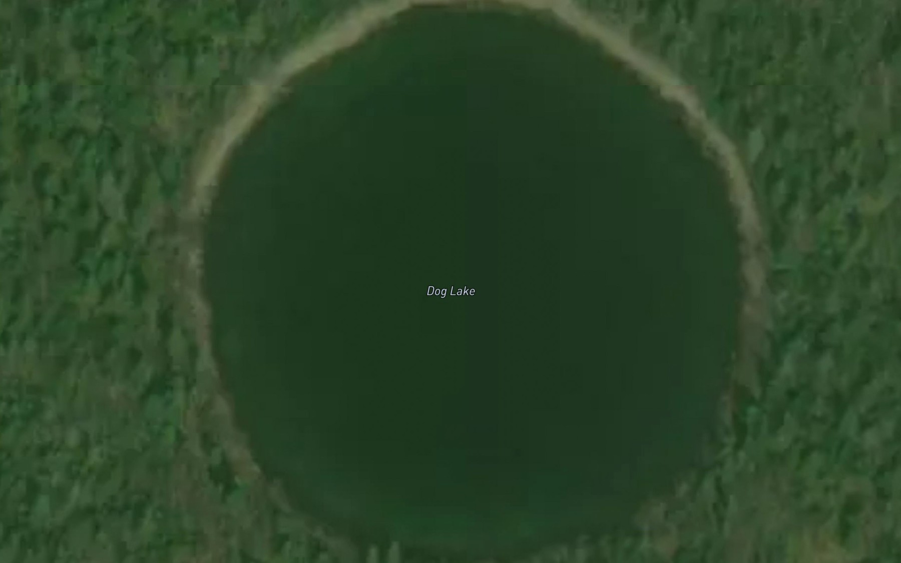 Satellite map of the Dog Lake