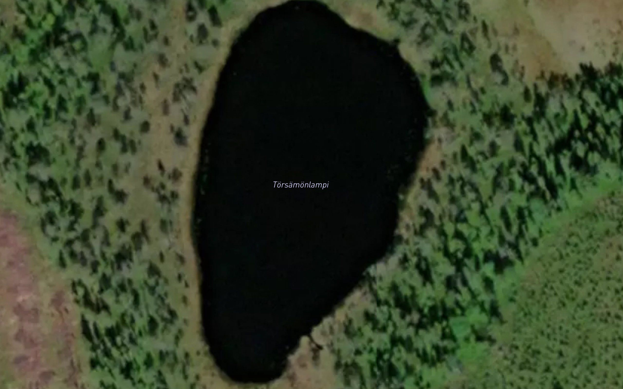 Torsamonlampi