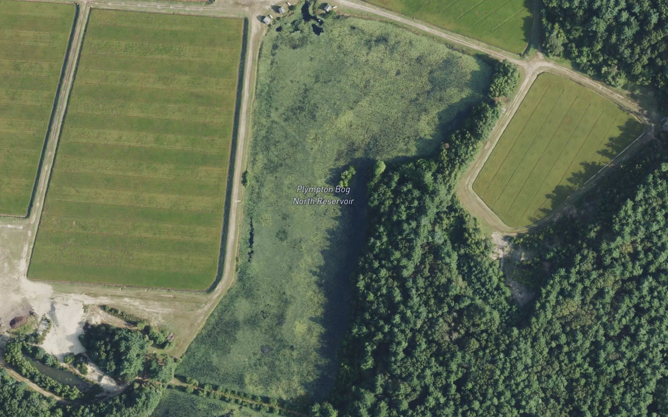 Plympton Bog North Reservoir