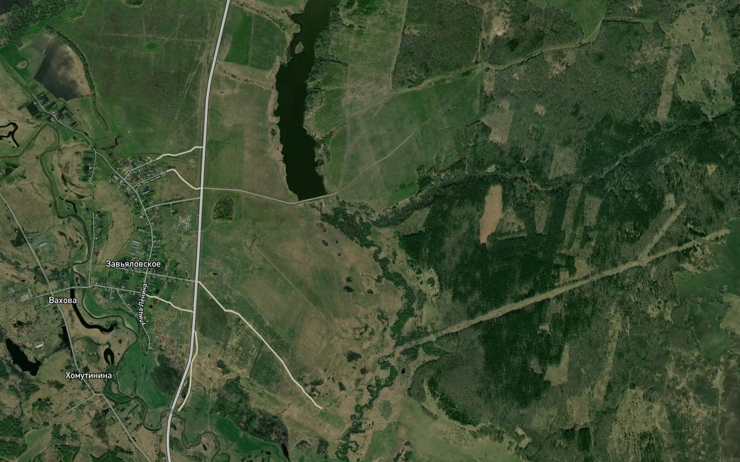 Kvasnaya