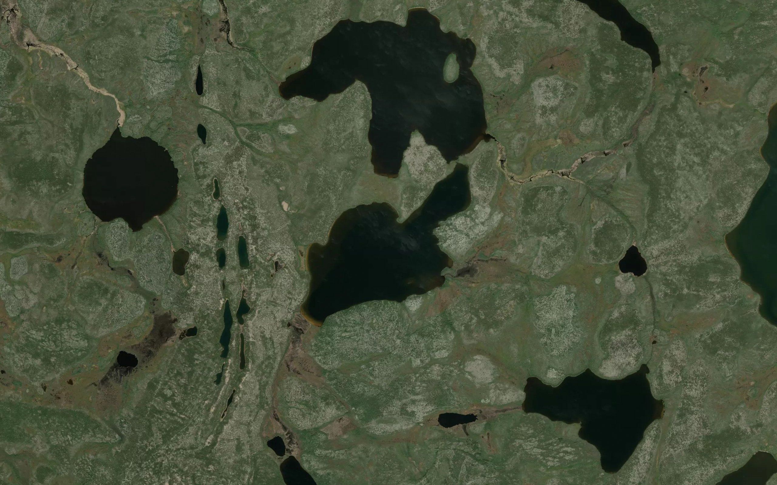 Wilkinson Lake