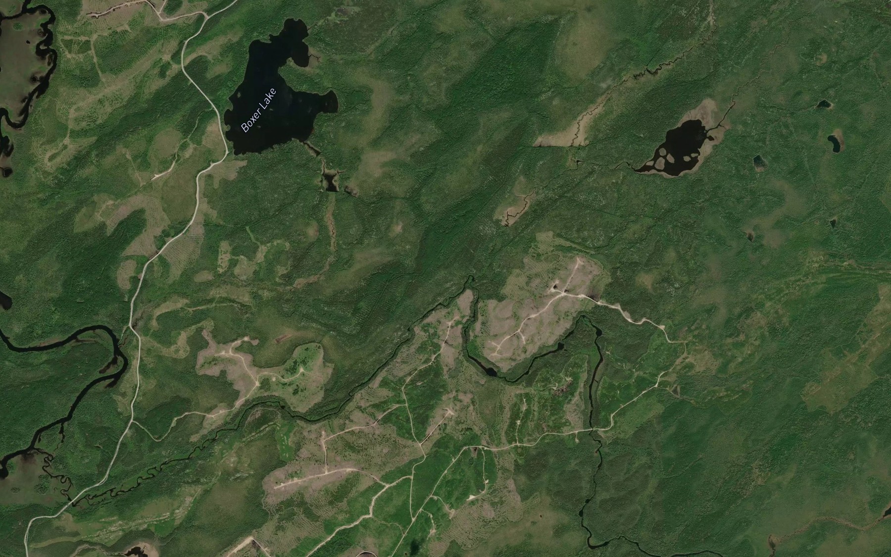 Satellite map of the Viva Creek