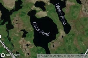 Cains Pond