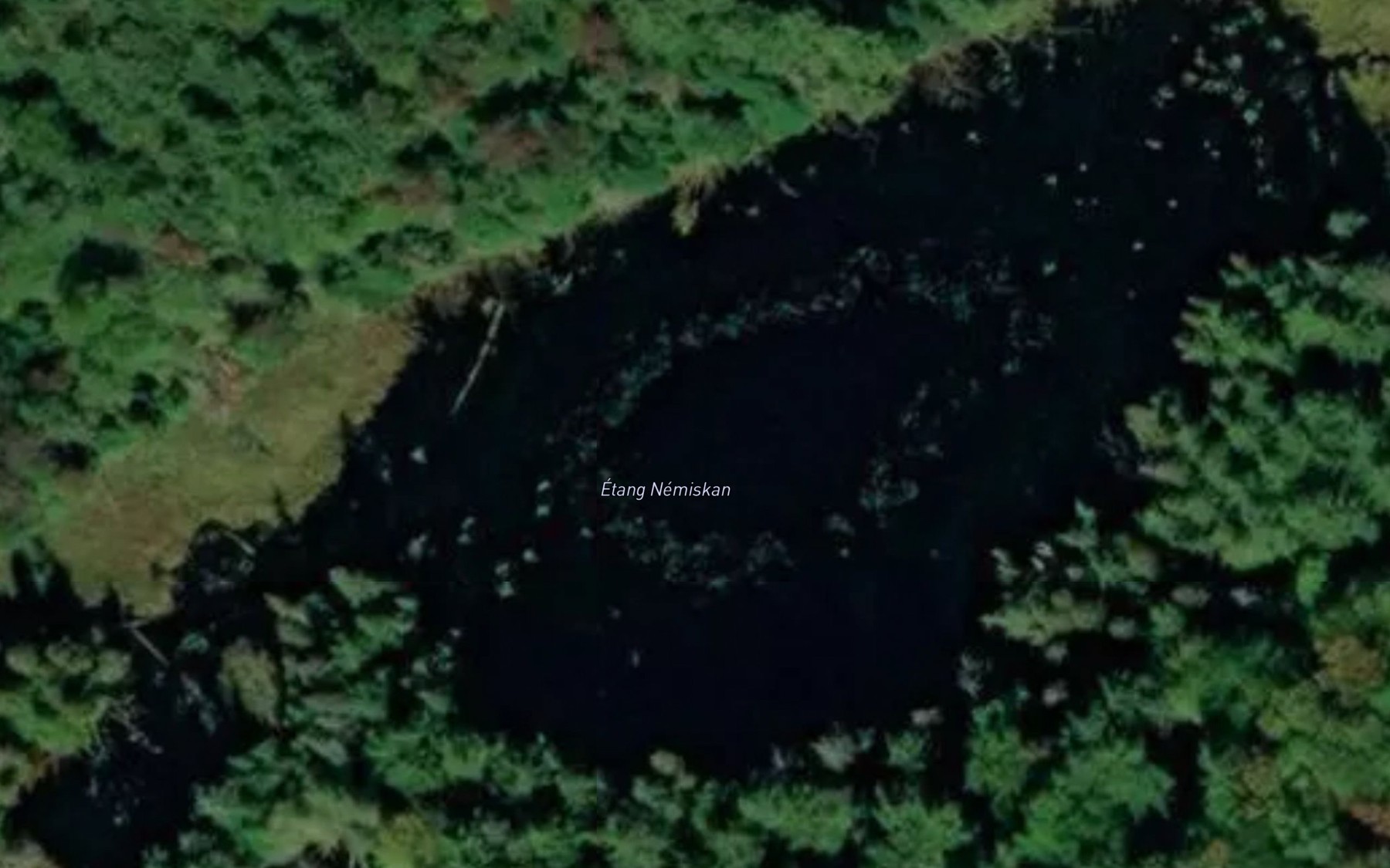 Satellite map of the Etang Nemiskan