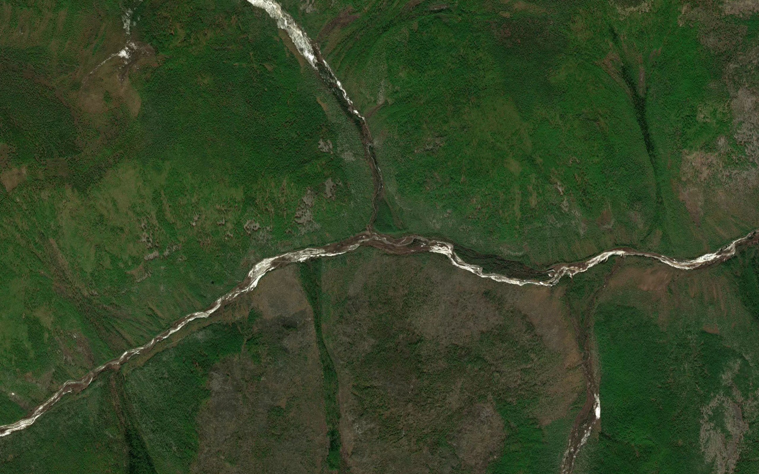 Medvezhonok