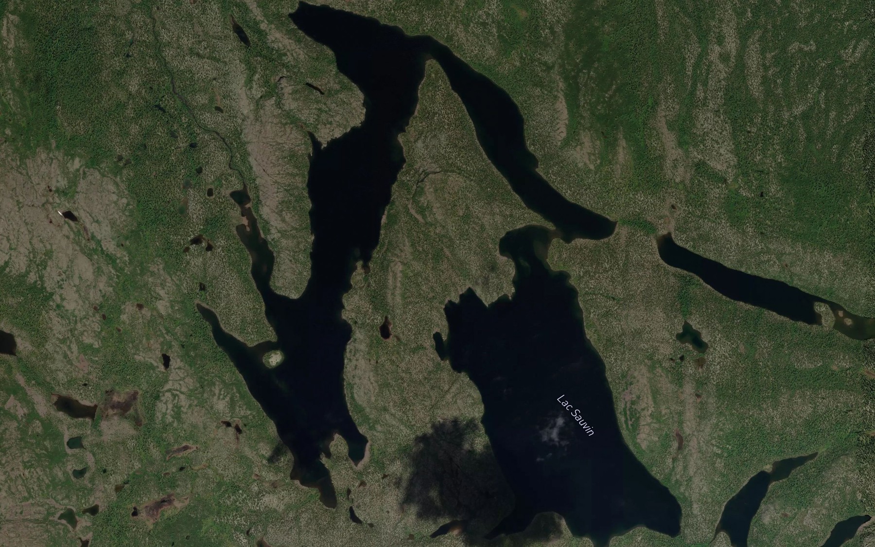 Satellite map of the Lac Sauvin
