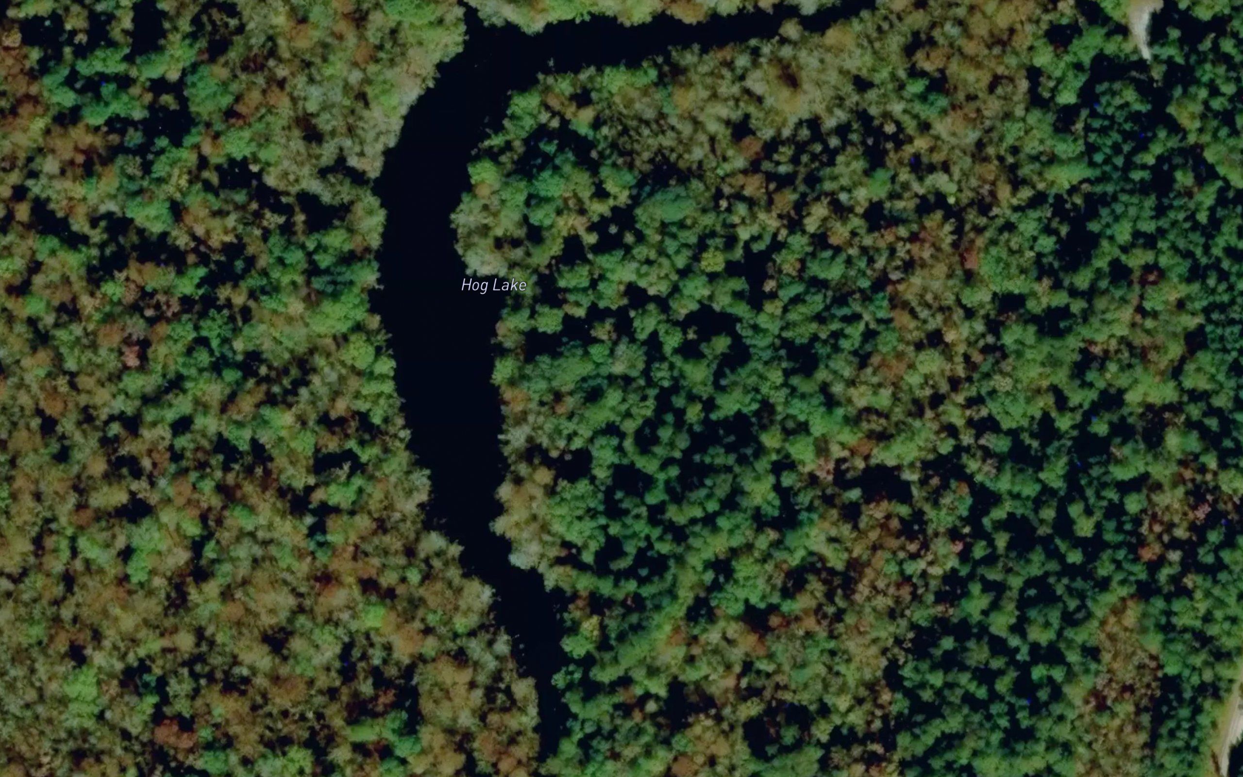 Hog Lake