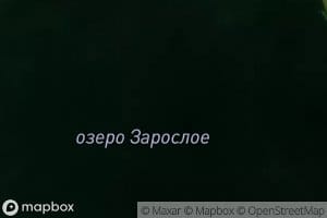 Ozero Zarosloye