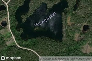 Holmtrasket