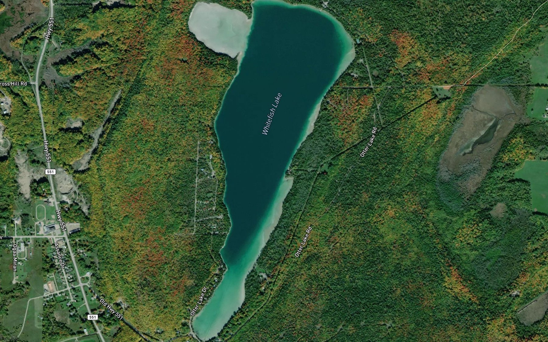 Satellite map of the Whitefish Lake
