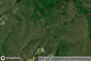 Little Meadow Branch