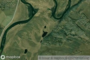 Berezovyy
