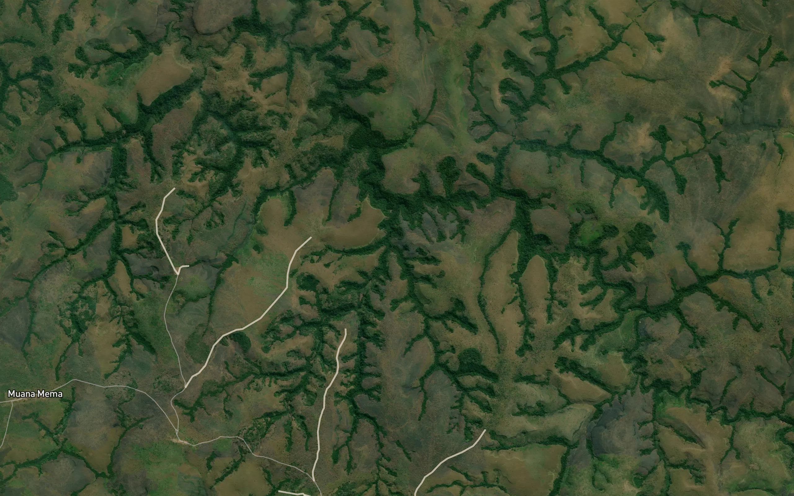 Monalungo