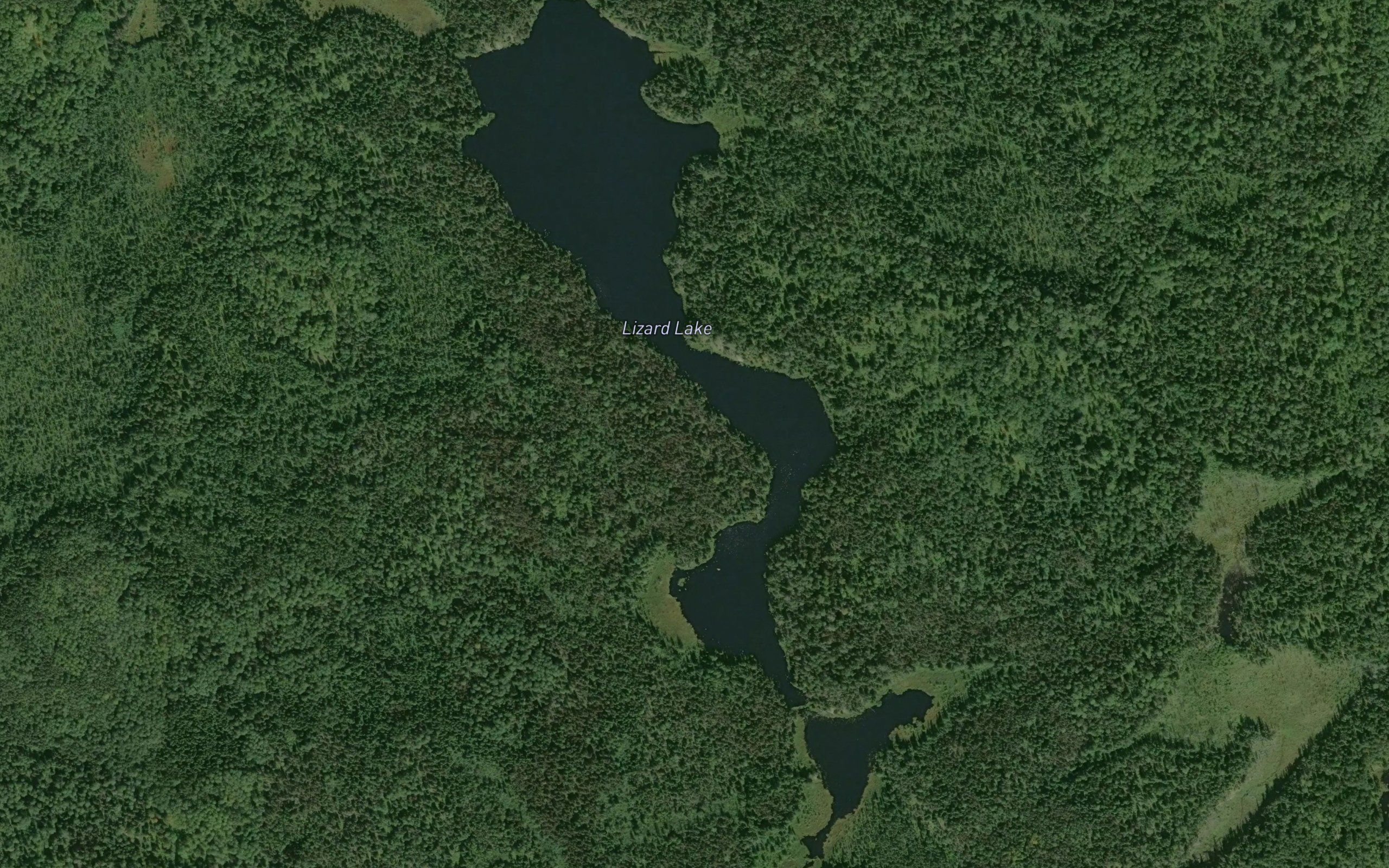 Lizard Lake