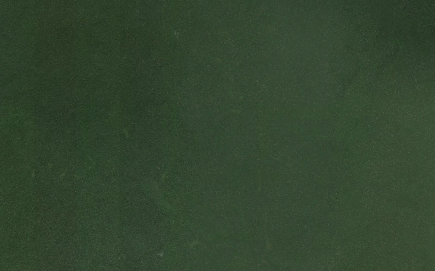 Satellite map of the Komi