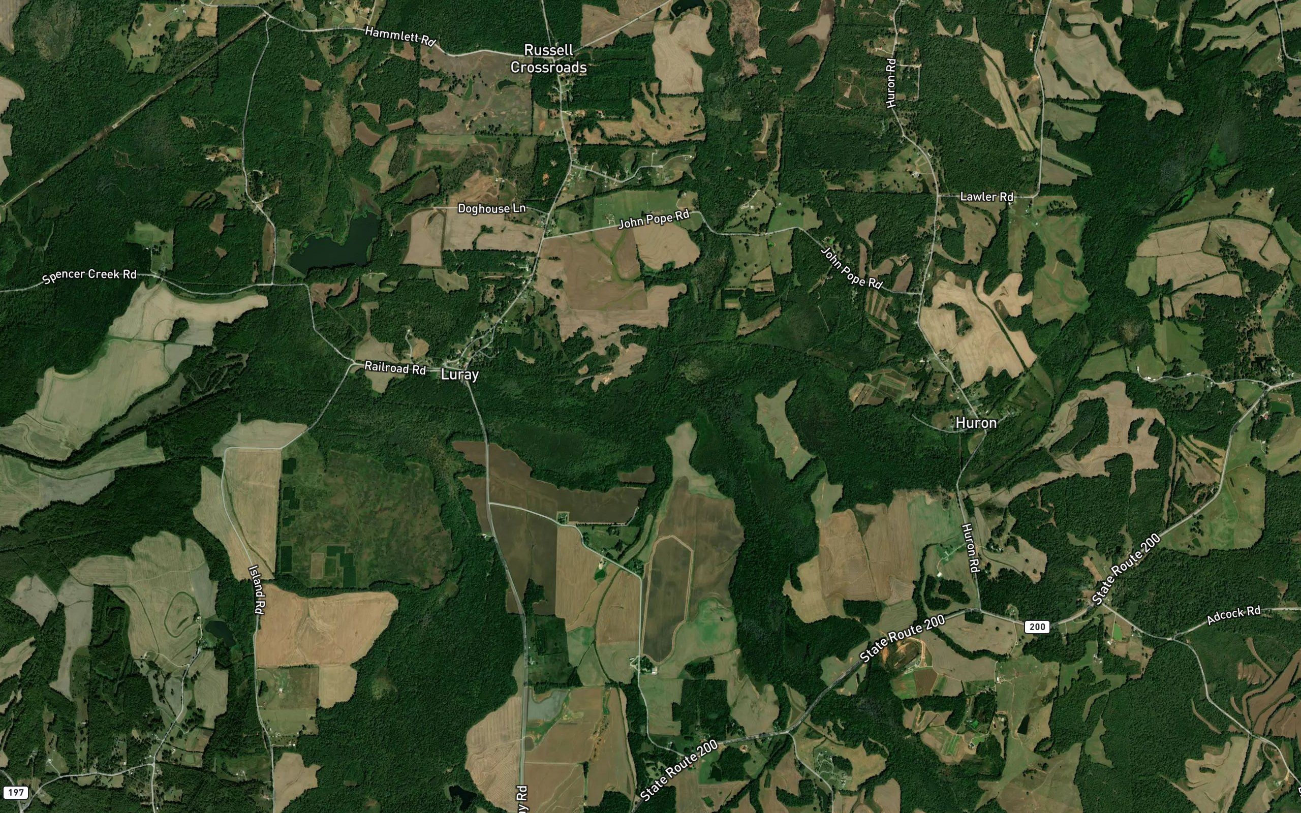 Bell Branch
