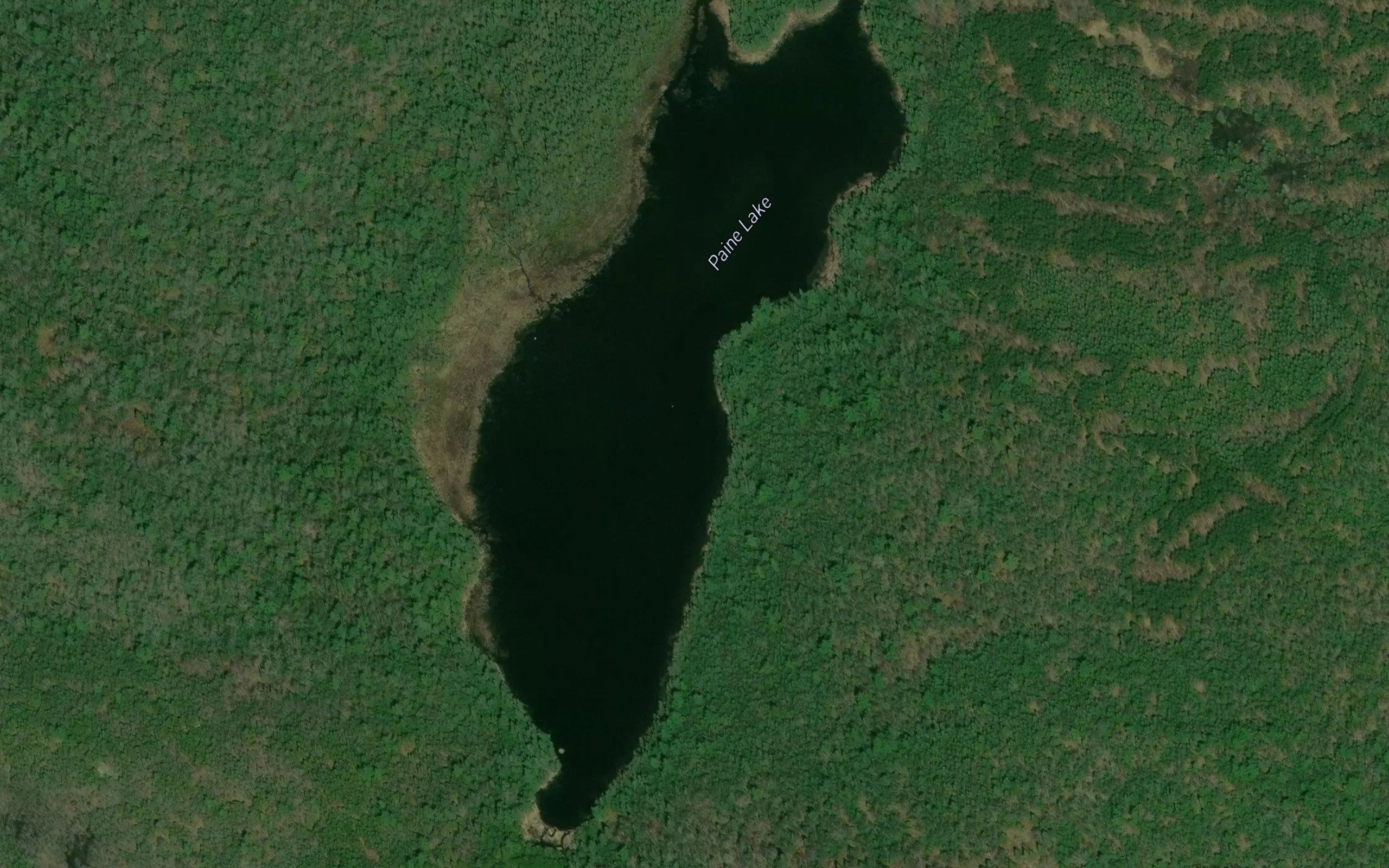 Paine Lake