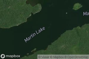 Martin Lake