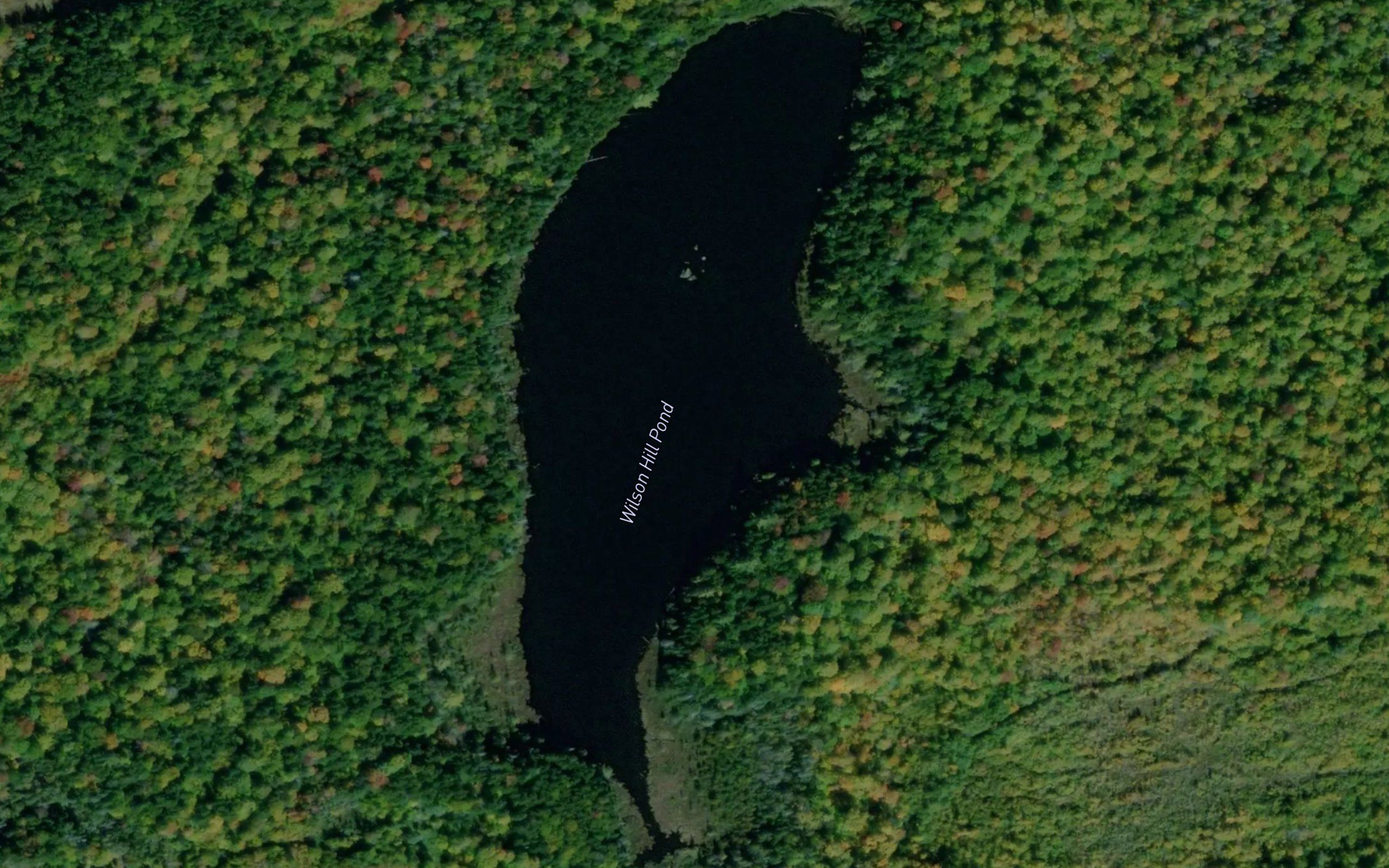 Wilson Hill Pond
