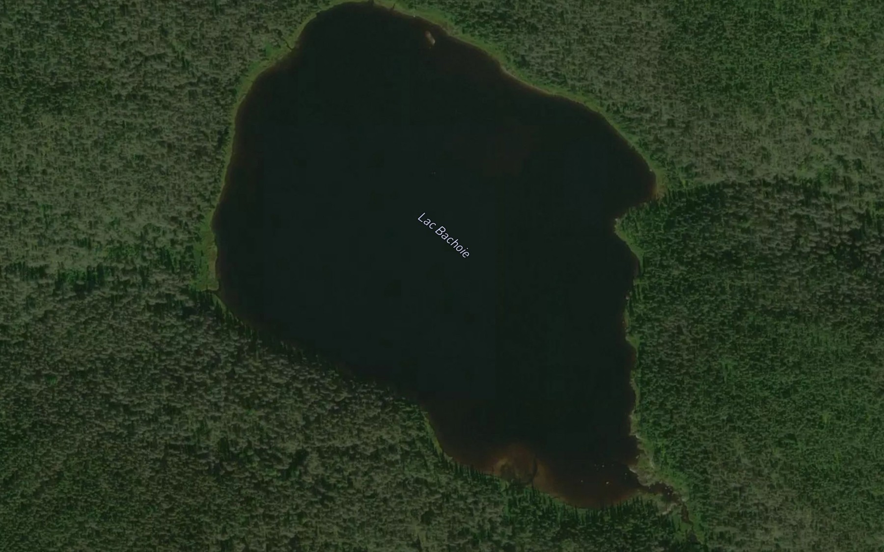 Satellite map of the Lac Bachoie