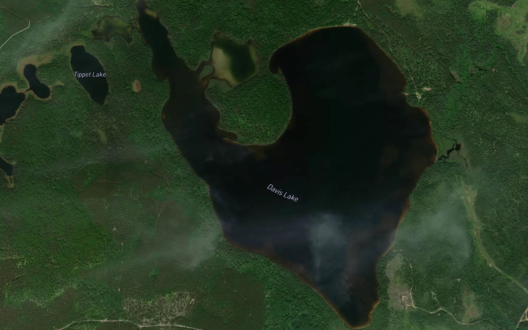 Satellite map of the Davis Lake